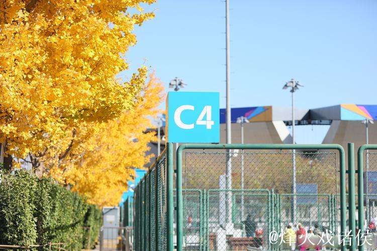 2024钻石杯青少年网球挑战赛总决赛落幕 2024钻石杯青少年网球挑战赛总决赛落幕